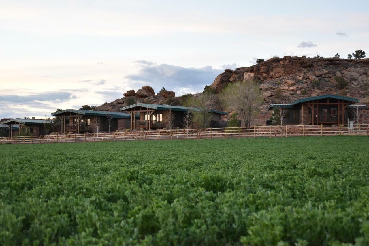 Cougar Ridge Lodge - Casitas Torrey Exterior foto